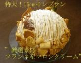 【特大!モンブラン15cm】バースデーケーキにも、贈り物にも!!